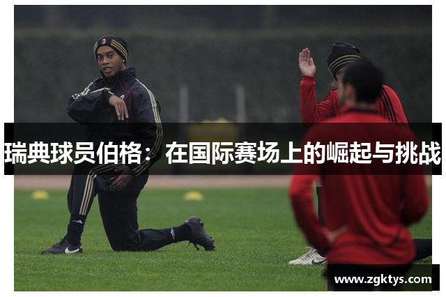 瑞典球員伯格：在國(guó)際賽場(chǎng)上的崛起與挑戰(zhàn)